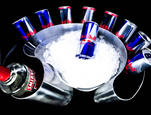Red Bull Motorsport Stainless Steel Curve Ice Cube Tray, Can Ice Cooler, Ice Box