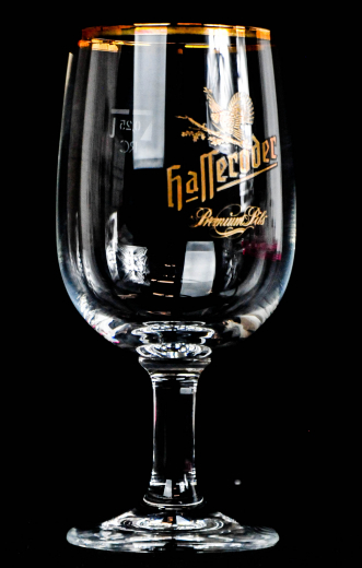 Hasseröder Glas / Gläser, Bierglas Ritzenhoff Tulpe, Goldrand 0,2l